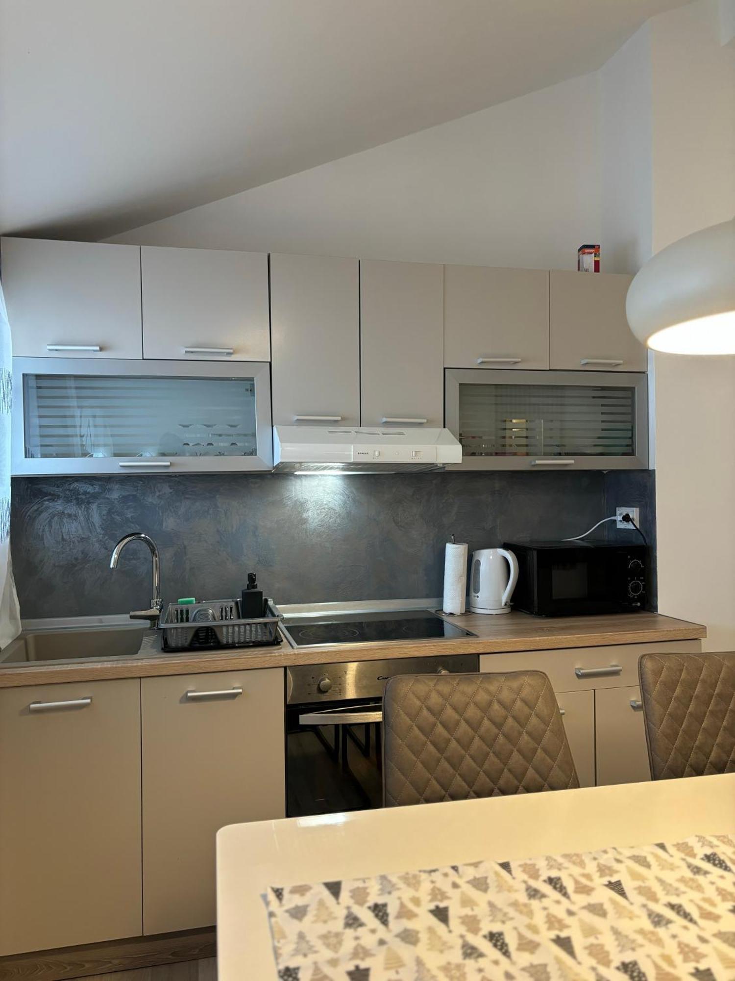 Albert Apartments Zagreb Airport ヴェリカ・ゴリツァ エクステリア 写真